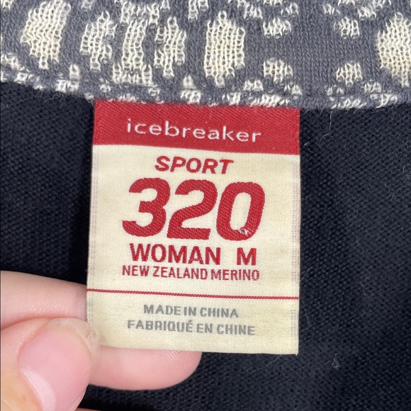 Icebreaker 320 Long Sleeve Half Zip Pullover Layering Sweater Sz M - Picture 2 of 10